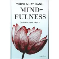 Mindfulness : ögonblickens under