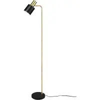 TRIO Leuchten Golvlampa Adam, Svart, Vardagsrum / matsal, Metall, Golvlampa