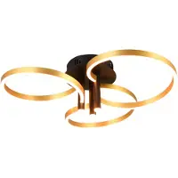 TRIO Lighting LED taklampa Caruso, dimbar, Mässing / guld, Vardagsrum / matsal, Metall, Modern, LED-taklampa