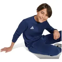 Adidas Entrada 26 Sweat Tröja