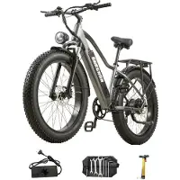 Burchda RX20 Adult Electric Bike, 1500W Peak Motor Ebike with 48V 20Ah Removable Battery, Fat Tire Electric Mountain Bicycle