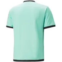 Puma Teamliga T-shirt Med Korta ärmar