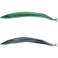 Berkley Alive Mjukt Bete 130 Mm