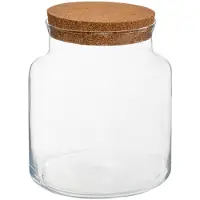 Atmosphera glasvas med kork till kvistar i burk, höjd 21,5 cm