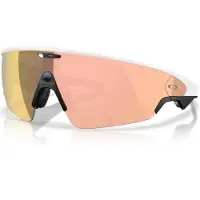 Oakley Vanguard Solglasögon