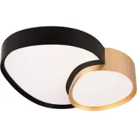 TRIO Lighting LED taklampa Rise, dimbar, Svart, Vardagsrum / matsal, Metall, Modern, LED-taklampa
