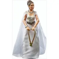Hasbro Star Wars Kenner Prinsessan Leia Organa (Yavin 4) Figur RS270220