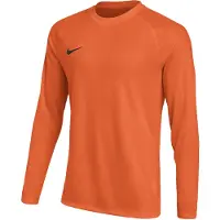 Nike Målvaktströja Dri-FIT Park VIII - Orange/Svart Långärmad Barn, storlek XL: 158-170 cm