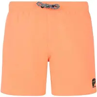 Protest Culture Simshorts