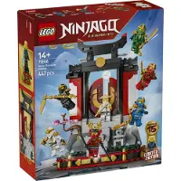 LEGO Ninjago 71866 15-årsjubileum – Ninjakaraktärer