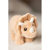 Teddykompaniet Dino Triceratops Aprikos Stor