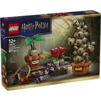 LEGO Hogwarts växter för örtlära Harry Potter (76474)