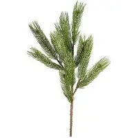 Newport Forrest tallkvist grön