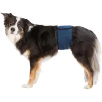 Trixie dynor för hanhundar S: 29-37 cm