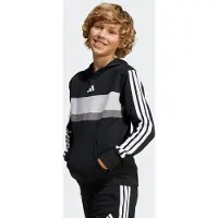 Adidas Sport sweatshirt 'SEASONAL ESSENTIALS TIBERIO 3 STRIPES FLEECE' grå / ljusgrå / svart / vit