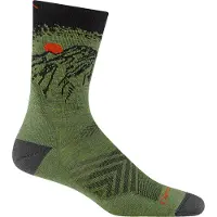 Darn Tough Men's Vert Micro Crew Ultra-Lightweight With Cushion Lichen