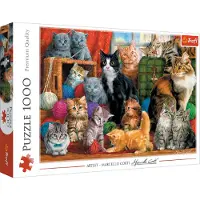 Trefl Pussel Feline Meeting 1000 bitar, Trefl