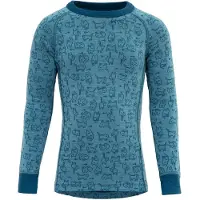 Devold Duo Active Merino T-shirt Med Lång ärm