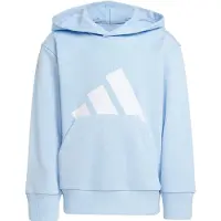 Adidas Essentials Big Logo Huvtröja