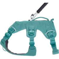 Ruffwear Web Master Fleranvndningsstd Hundsele Vandring och sprlpning Service och arbete Vardagsklder River Rock Green XX-Small