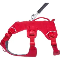 Ruffwear Web Master Hundsele