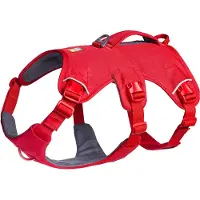 Ruffwear Web Master Hundsele
