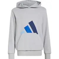 Adidas Essentials Huvtröja