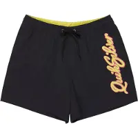 Quiksilver Everyday Malibu Volley 15 Boardshorts black Storlek XL