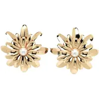 Avant Garde Örhängen 'Ninana' guld