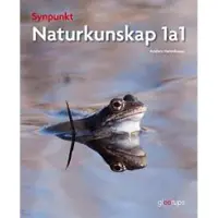 Synpunkt 1a1