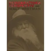 Demokratiska perspektiv