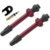 Pnk Tubeless Presta Ventiler 2 Enheter