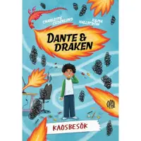 Kaosbesök