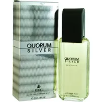 Antonio Puig Quorum Silver Eau de Toilette 100ml