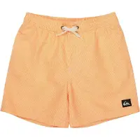 Quiksilver Everyday Deluxe Volley 14´´ Simshorts
