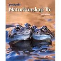 Synpunkt 1b
