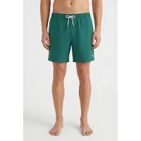 O'Neill Vert 16'' Boardshorts botanical heat Storlek L