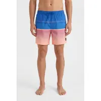 O'Neill Gradient 15'' Boardshorts blue gradient stripe Storlek L