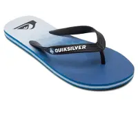 Quicksilver Molokai Faded Flip-flops