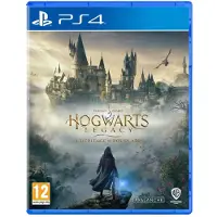 PlayStation 4 Hogwarts Legacy Videospel av