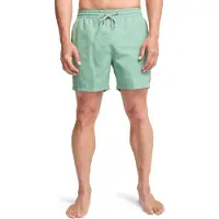 Billabong All Day Simshorts