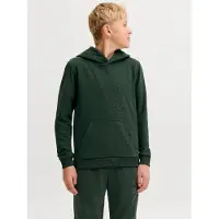 Jack & Jones Junior Sweatshirt 'JJEBradley' mörkgrön