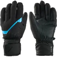 Zanier Rauris Gore-tex Handskar