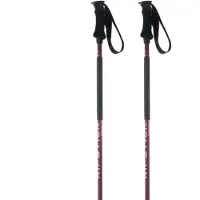 Elan Ripstick Rod W Stavar