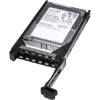 Dell Seagate - Hårddisk - 2 TB - inbyggd - 3.5" - SAS 12Gb/s - nearline - 7200 rpm