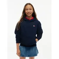 Tommy Hilfiger Flag Logo Terry Hoody
