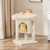 24hShop Litet klösträd med koja och säng - Beige / kompakt klösträd med kattgrotta och plattform