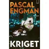 Kriget