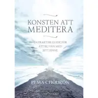 Konsten att meditera : En praktisk guide för att bli vän med sitt sinne