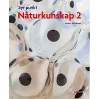 Synpunkt 2